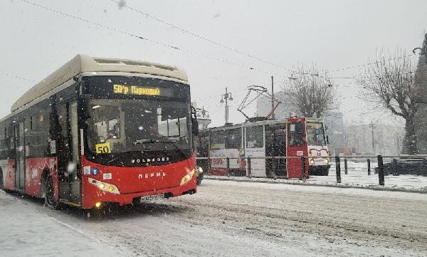 В Перми запуск автобусов с «гармошкой» позволит снизить дефицит водителей