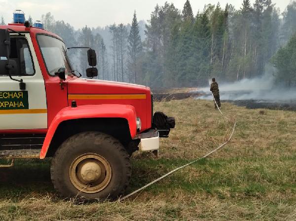 В лесах Пермского края запретили разжигание костров 