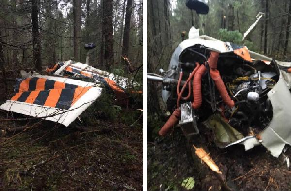 В лесу нашли пропавший частный самолет, пилот погиб