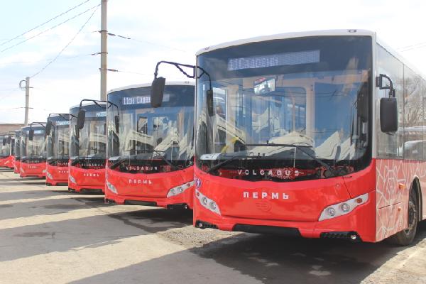 С апреля в Перми изменятся около 20 автобусных маршрутов 