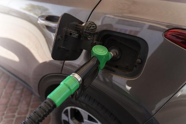 Пермское УФАС проверит формирование цен на бензин и дизтопливо