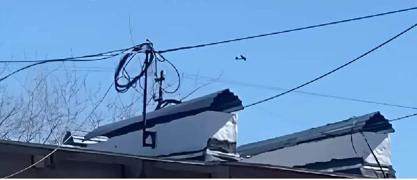 В Перми заметили летательный аппарат, похожий на бесплотник