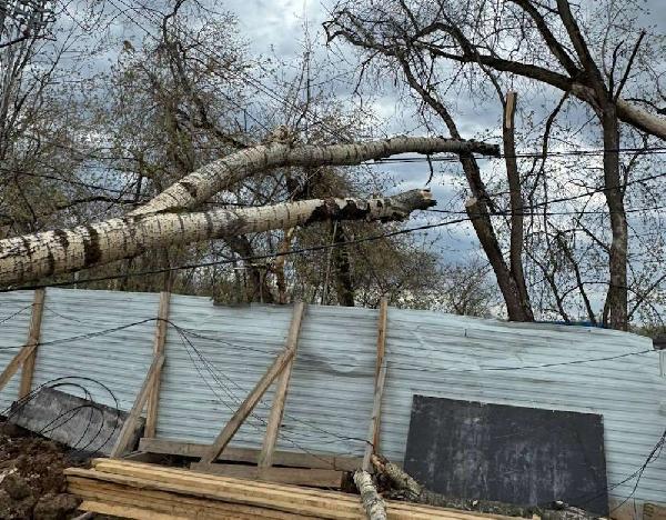 В Пермском крае ветер повредил электросети в восьми районах