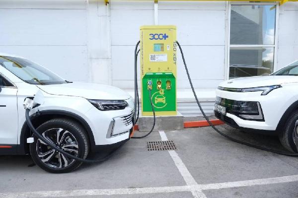 В Перми владельцы электромобилей получили право на льготную парковку