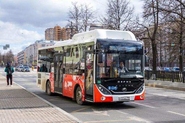 В Перми за работой кондиционеров в автобусах будут следить онлайн