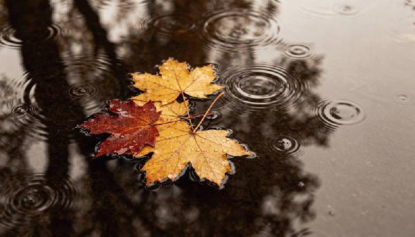 В Пермском крае ожидается новая волна тепла