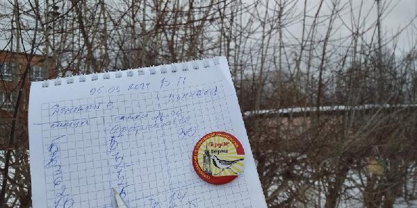 Орнитологи: в Пермском крае исчезают домовые воробьи