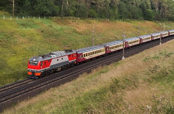 В поезде «Пермь-Симферополь» увеличат количество мест для перевозки  домашних животных