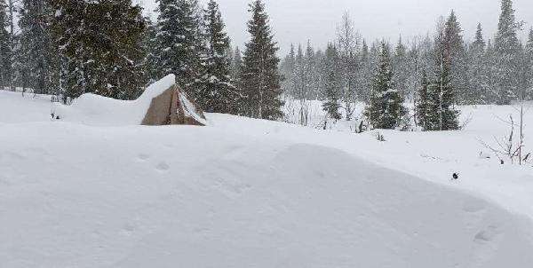 В заповеднике «Вишерский» сегодня выпало 25 сантиметров снега