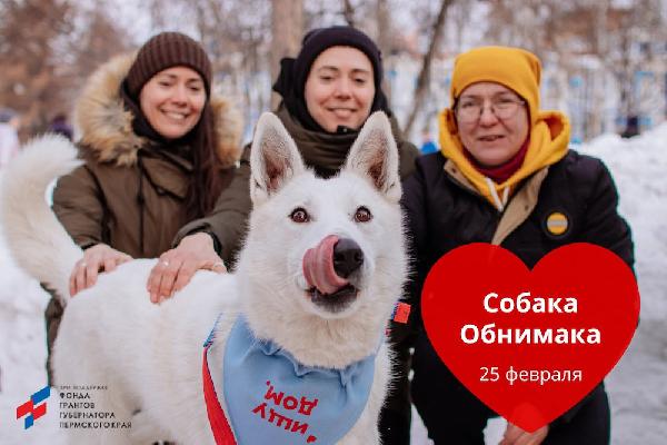 В Перми 25 февраля пройдет благотворительная акция «Собака Обнимака»