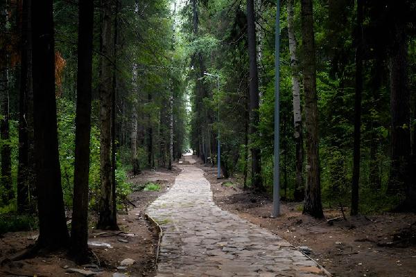 Городские власти планируют развивать экологический туризм на природных территориях Перми