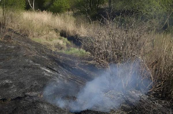 В Пермском крае с 20 апреля начался пожароопасный сезон