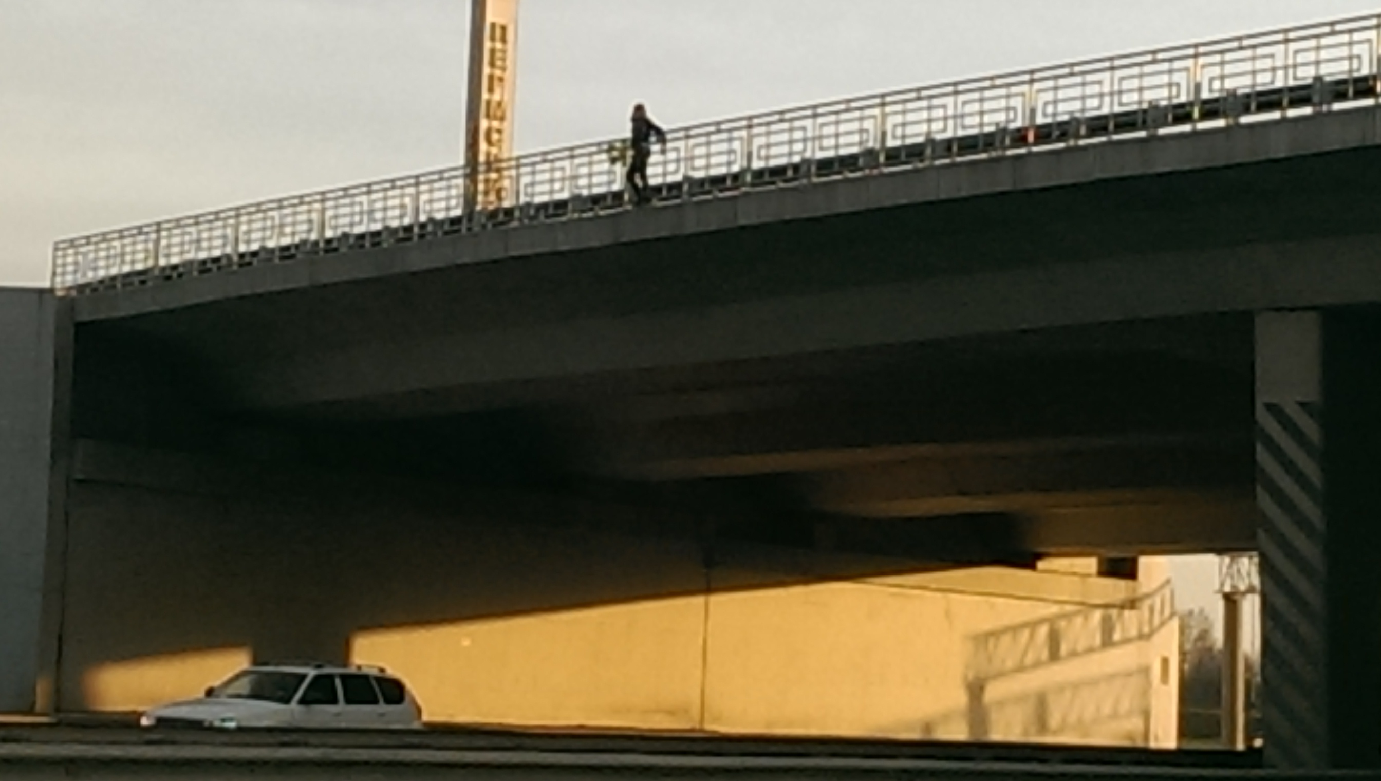 Пермяки спасли девушку, пытавшуюся спрыгнуть с моста - Новости Перми и  Пермского края, ИА 