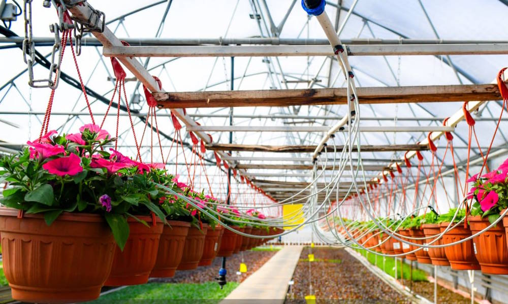 Озеленение