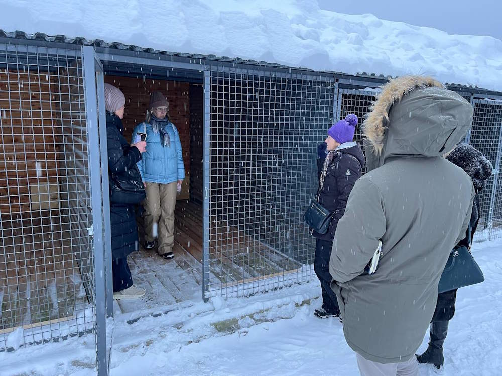 Волонтеры и депутаты проверили готовность нового пермского приюта для животных