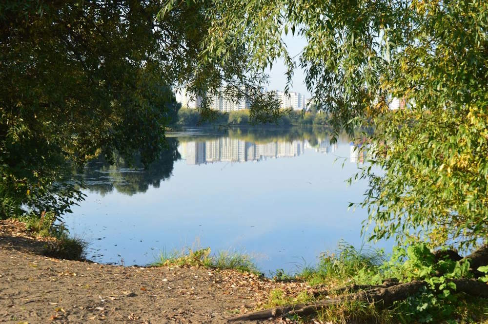 В Перми пройдет проверка берегов рек на наличие свободного доступа