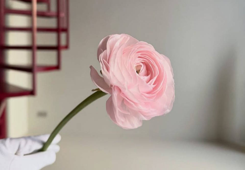 В центре Перми открылся двухэтажный цветочный с винтовой лестницей