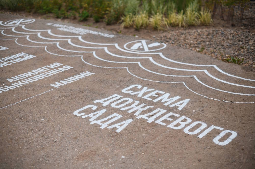 В Перми в долине Егошихи началось строительство пяти дождевых садов