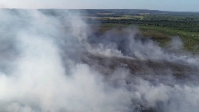 Площадь лесного пожара в Краснокамском округе увеличилась до 84 Га