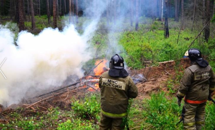 Все возгорания были оперативно обнаружены и потушены.