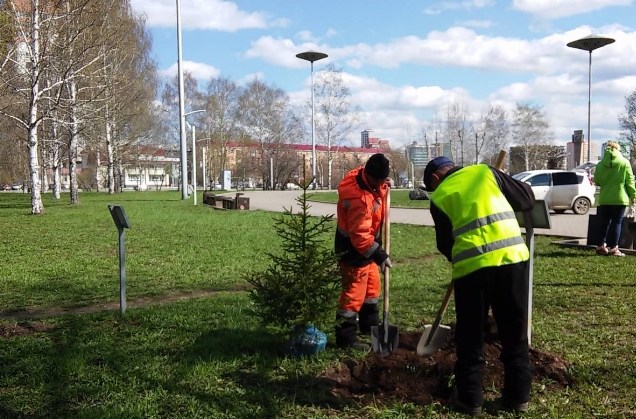 В этом году Пермь сделала большой шаг вперед в озеленении города.