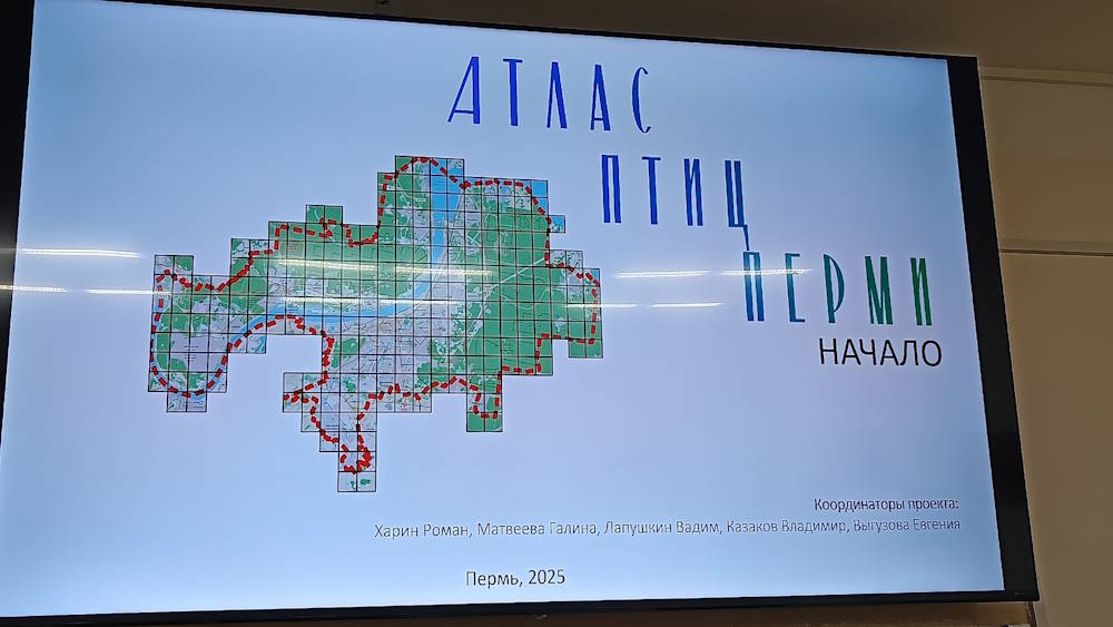 В Перми создадут атлас местных птиц