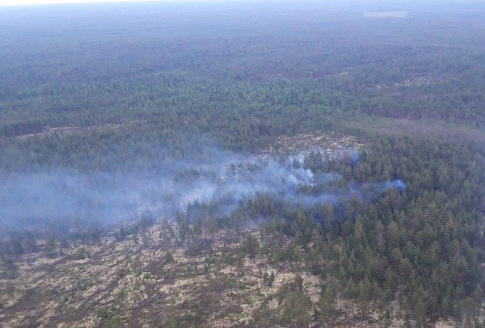 МТС помогает предотвратить пожары в лесах Пермского края