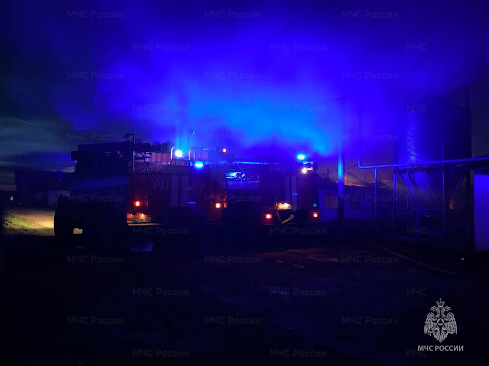В результате пожара на ферме в Пермском крае погибли 4 тысячи свиней