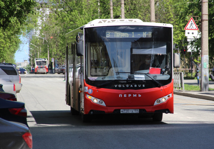 В Перми могут разработать новый стиль общественного транспорта