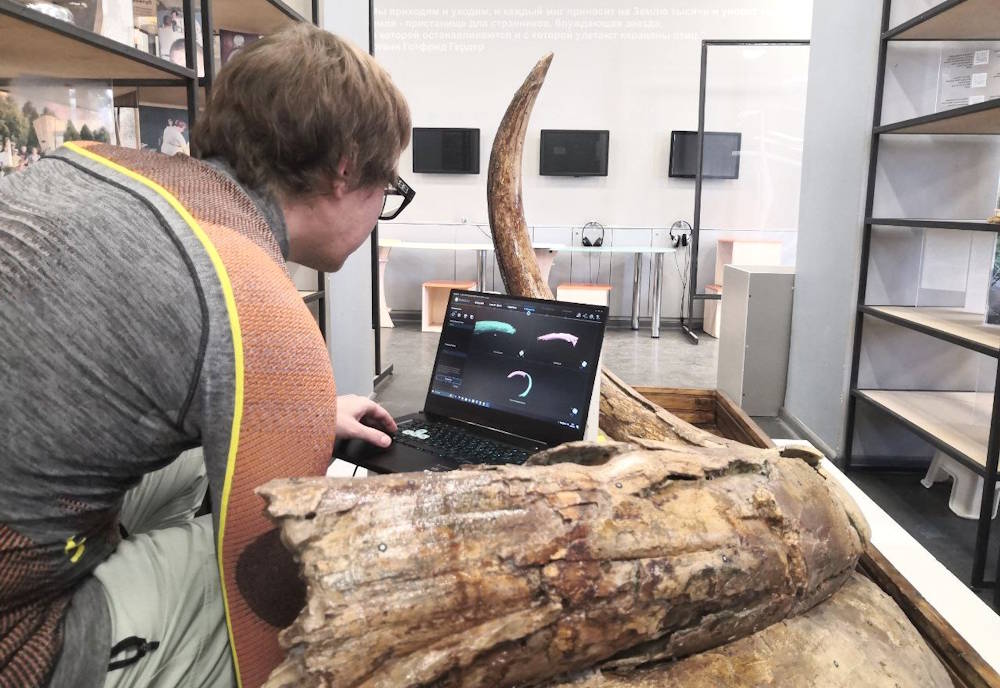 Для восстановления скелета трогонтериевого слона применят 3D-печать