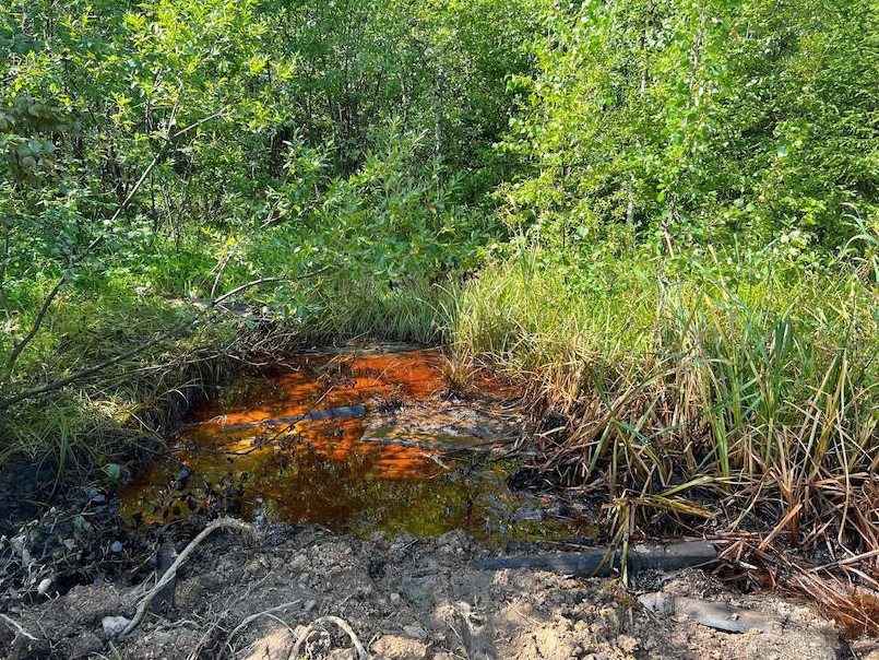 Прокуратура проводит проверку причин разлива нефтепродуктов в Прикамье