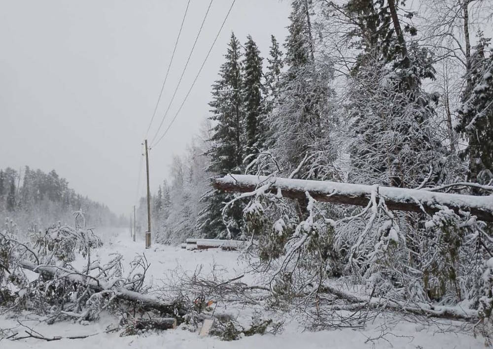 В Пермском крае прошел ледяной дождь
