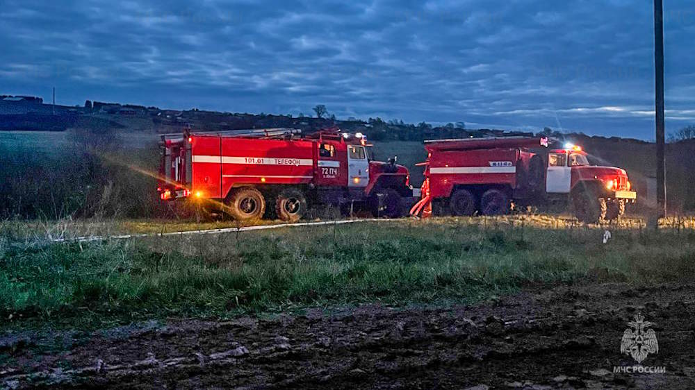 В Пермском крае во время ночного пожара сгорела ферма с коровами