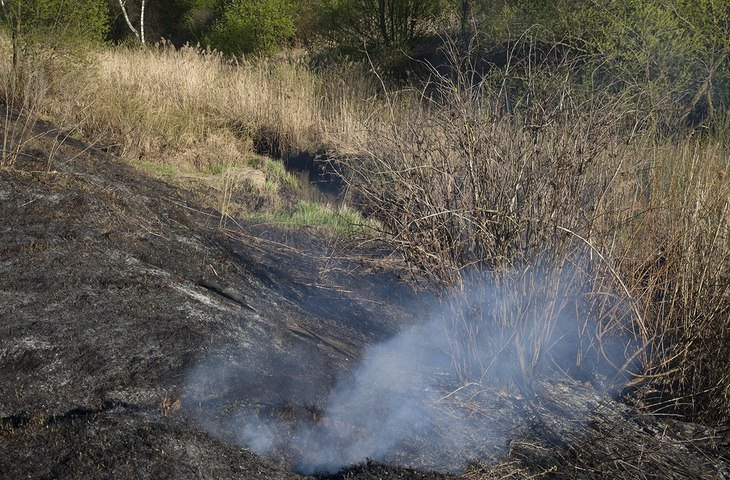 Жители Краснокамска жалуются на дым от лесного пожара