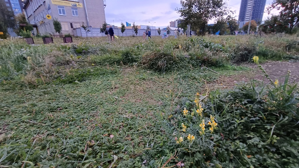 В Перми впервые провели мозаичный покос газона