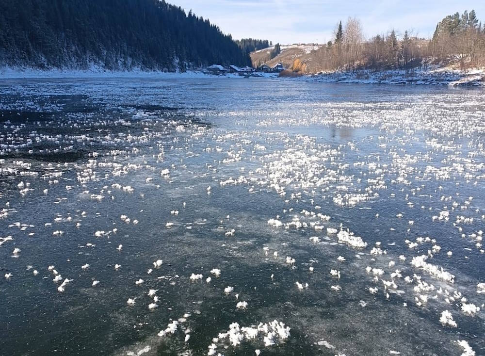 На водоемах Пермского края образовались ледяные цветы