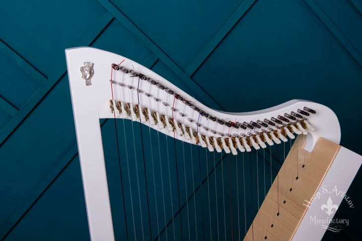 мастерская  Harp S. Aristov выпустила уже три инструмента