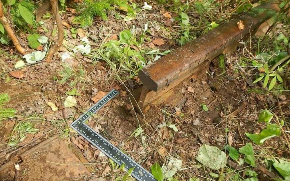 В Прикамье трое мужчин украли более ста тонн железнодорожных рельсов