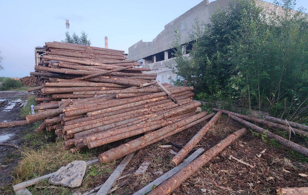 Двух школьников в Пермском крае насмерть придавило бревнами