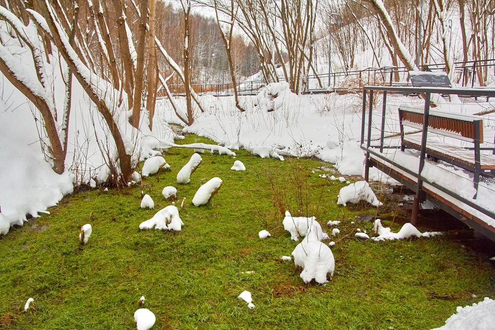 В Перми в долине Егошихи замечено необычное природное явление - вечнозеленая поляна