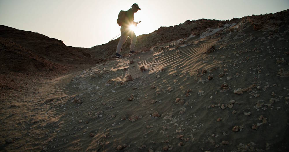 В Перми пройдет кинопоказ «Наука на большом экране»