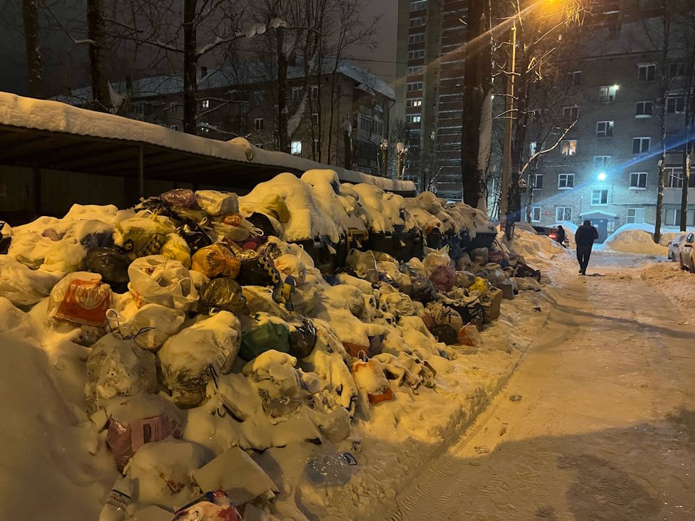В Перми после снегопадов возникли проблемы с вывозом мусора