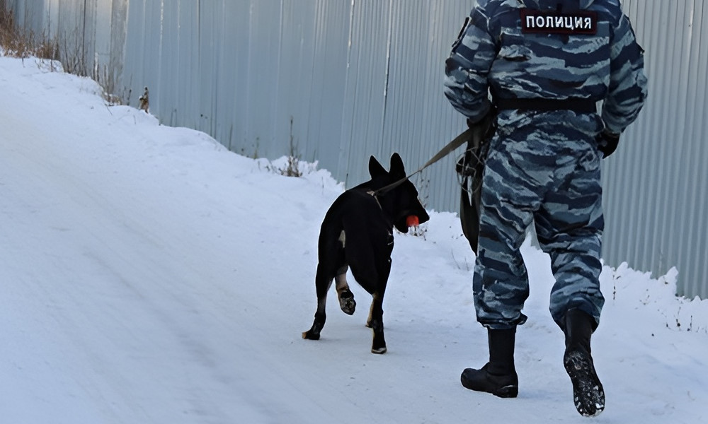 Пермские торговые центры проверяют полицейские с собаками 