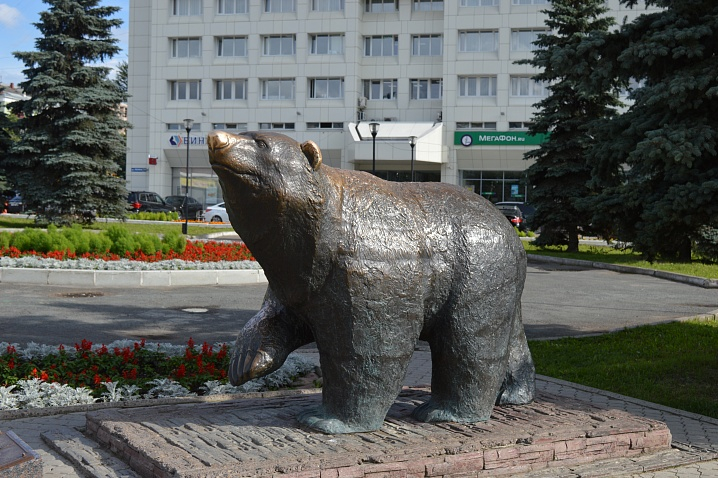 Медведь, Пермь