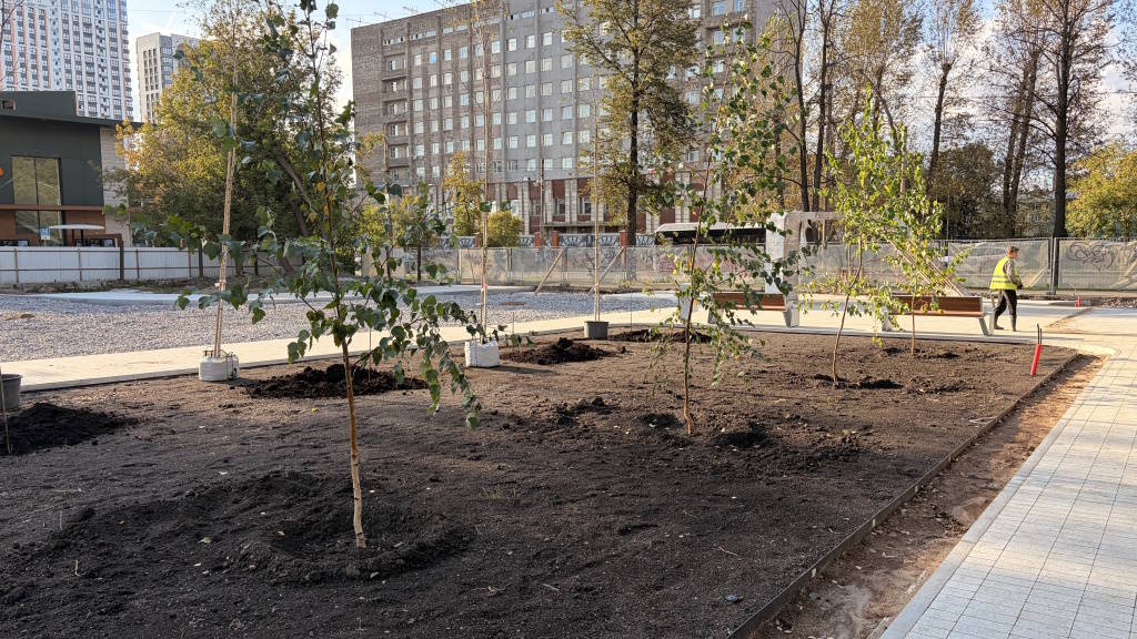 В новом сквере в центре Перми началась высадка деревьев и кустов