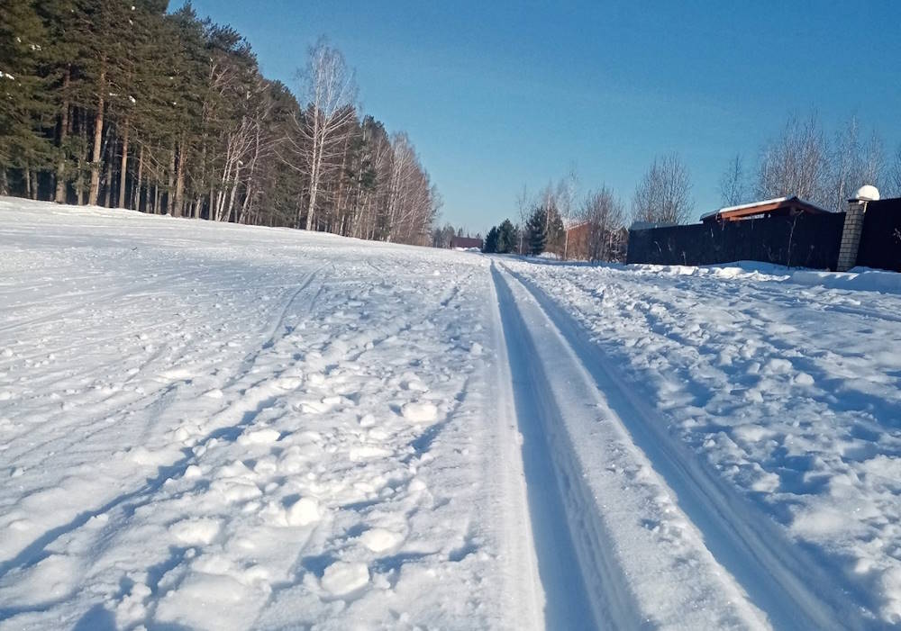 В 2025 году в Перми планируется построить новую трассу для лыжероллеров