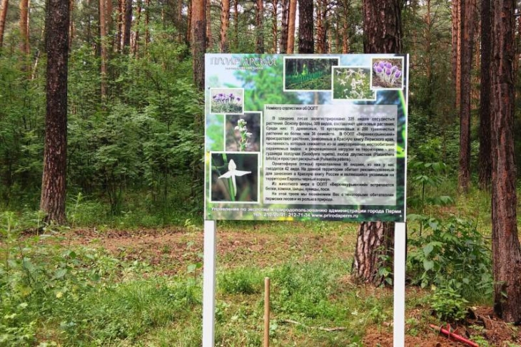 Пермь отмечена за лучшую организацию экологических троп.