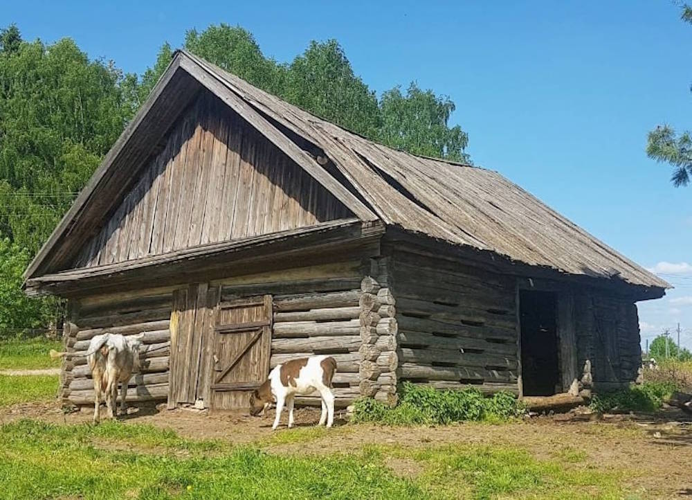 В Прикамье открыт сбор средств на спасение 100-летнего уникального амбара