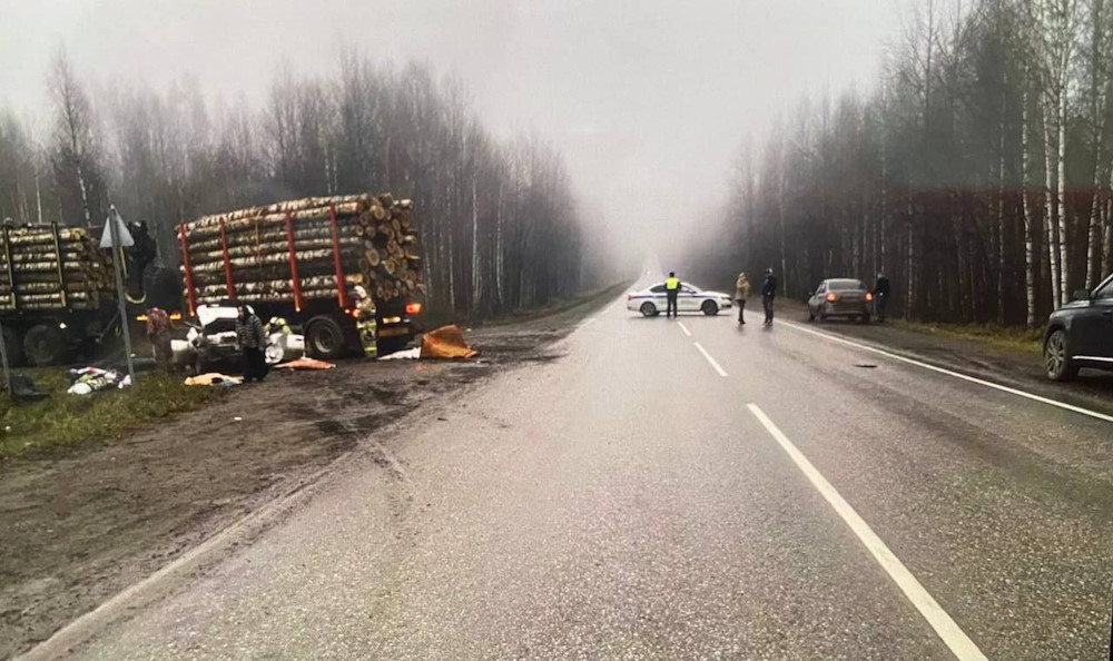 В ДТП с лесовозом погибли полуторагодовалый ребёнок и женщина