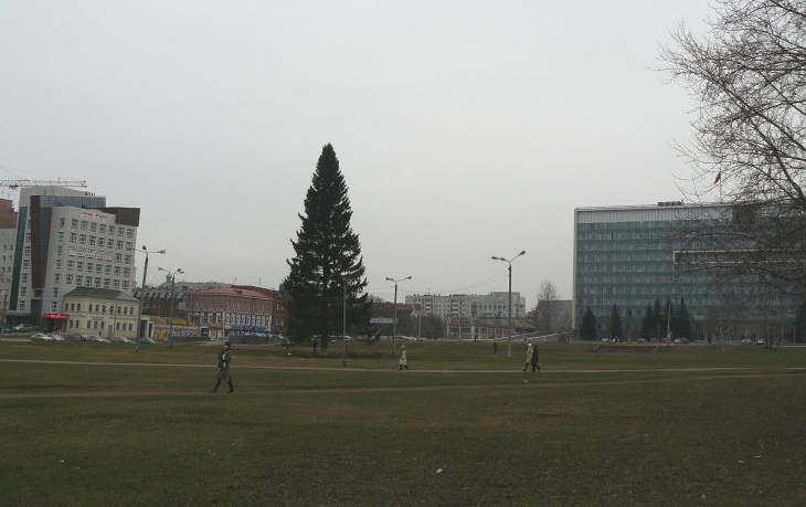 2008 год